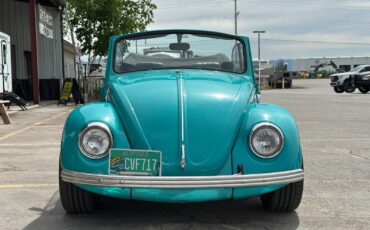 Volkswagen-Beetle-Classic-1969-Convertible-1