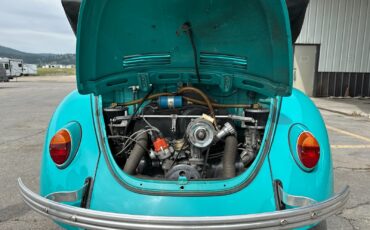Volkswagen-Beetle-Classic-1969-Convertible-13