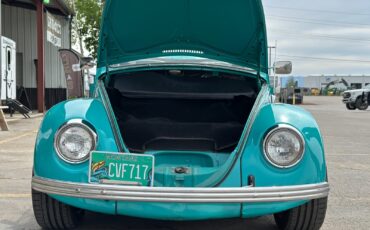 Volkswagen-Beetle-Classic-1969-Convertible-16