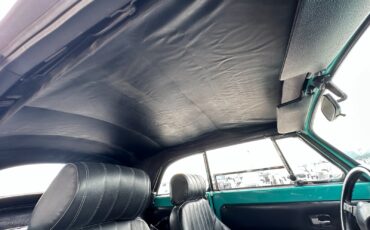 Volkswagen-Beetle-Classic-1969-Convertible-18