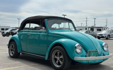 Volkswagen-Beetle-Classic-1969-Convertible-19