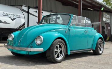 Volkswagen-Beetle-Classic-1969-Convertible-2