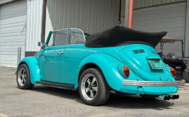 Volkswagen-Beetle-Classic-1969-Convertible-3