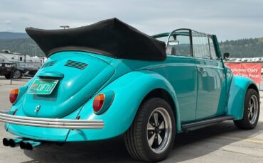 Volkswagen-Beetle-Classic-1969-Convertible-4