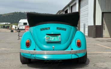 Volkswagen-Beetle-Classic-1969-Convertible-5