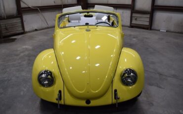 Volkswagen-Beetle-Classic-1969-Sedan-2