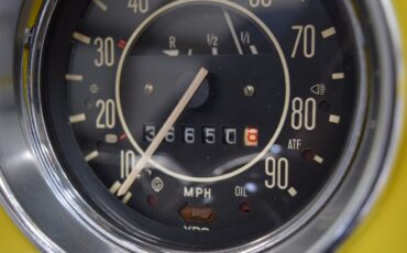 Volkswagen-Beetle-Classic-1969-Sedan-26