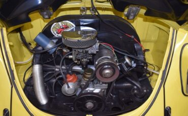Volkswagen-Beetle-Classic-1969-Sedan-29