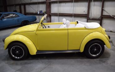 Volkswagen-Beetle-Classic-1969-Sedan-4
