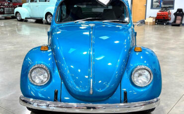 Volkswagen-Beetle-Classic-1970-Other-1