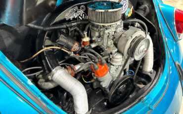 Volkswagen-Beetle-Classic-1970-Other-12