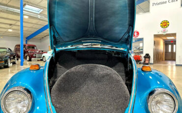 Volkswagen-Beetle-Classic-1970-Other-14