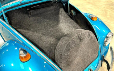 Volkswagen-Beetle-Classic-1970-Other-15