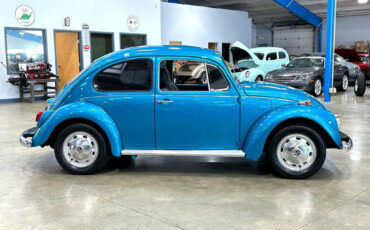 Volkswagen-Beetle-Classic-1970-Other-7