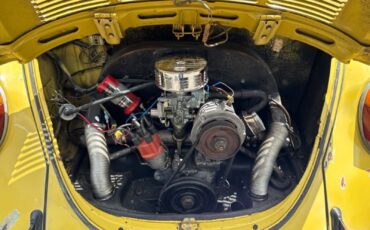 Volkswagen-Beetle-Classic-1973-11