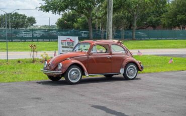 Volkswagen-Beetle-Classic-1974-2-Door-33