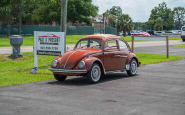 Volkswagen-Beetle-Classic-1974-2-Door