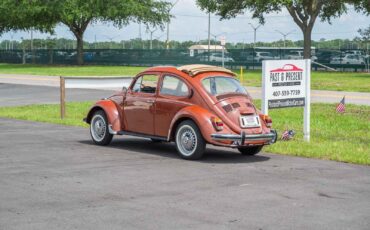 Volkswagen-Beetle-Classic-1974-2-Door-38