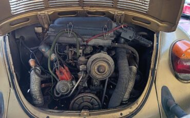Volkswagen-Beetle-Classic-1974-Coupe-2