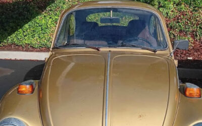 Volkswagen Beetle - Classic 1974 Coupe