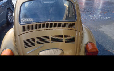 Volkswagen-Beetle-Classic-1974-Coupe-9