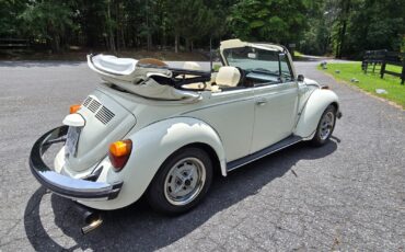 Volkswagen-Beetle-Classic-1976-Convertible-1
