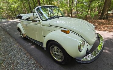 Volkswagen-Beetle-Classic-1976-Convertible-12