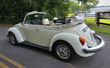 Volkswagen-Beetle-Classic-1976-Convertible-15