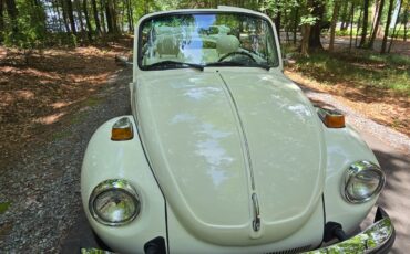 Volkswagen-Beetle-Classic-1976-Convertible-16