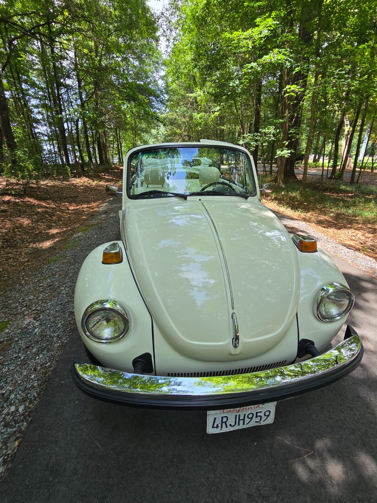 Volkswagen-Beetle-Classic-1976-Convertible-16