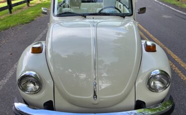 Volkswagen-Beetle-Classic-1976-Convertible-18