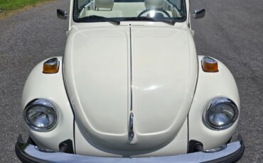 Volkswagen-Beetle-Classic-1976-Convertible-2