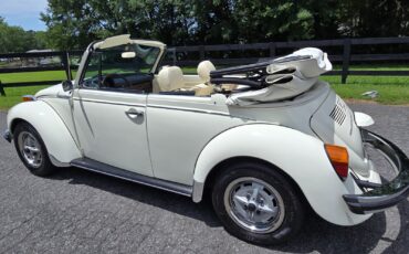 Volkswagen-Beetle-Classic-1976-Convertible-3