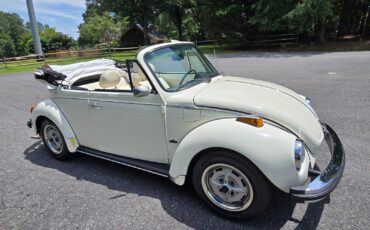 Volkswagen-Beetle-Classic-1976-Convertible-5