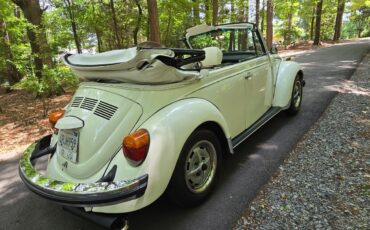 Volkswagen-Beetle-Classic-1976-Convertible-9