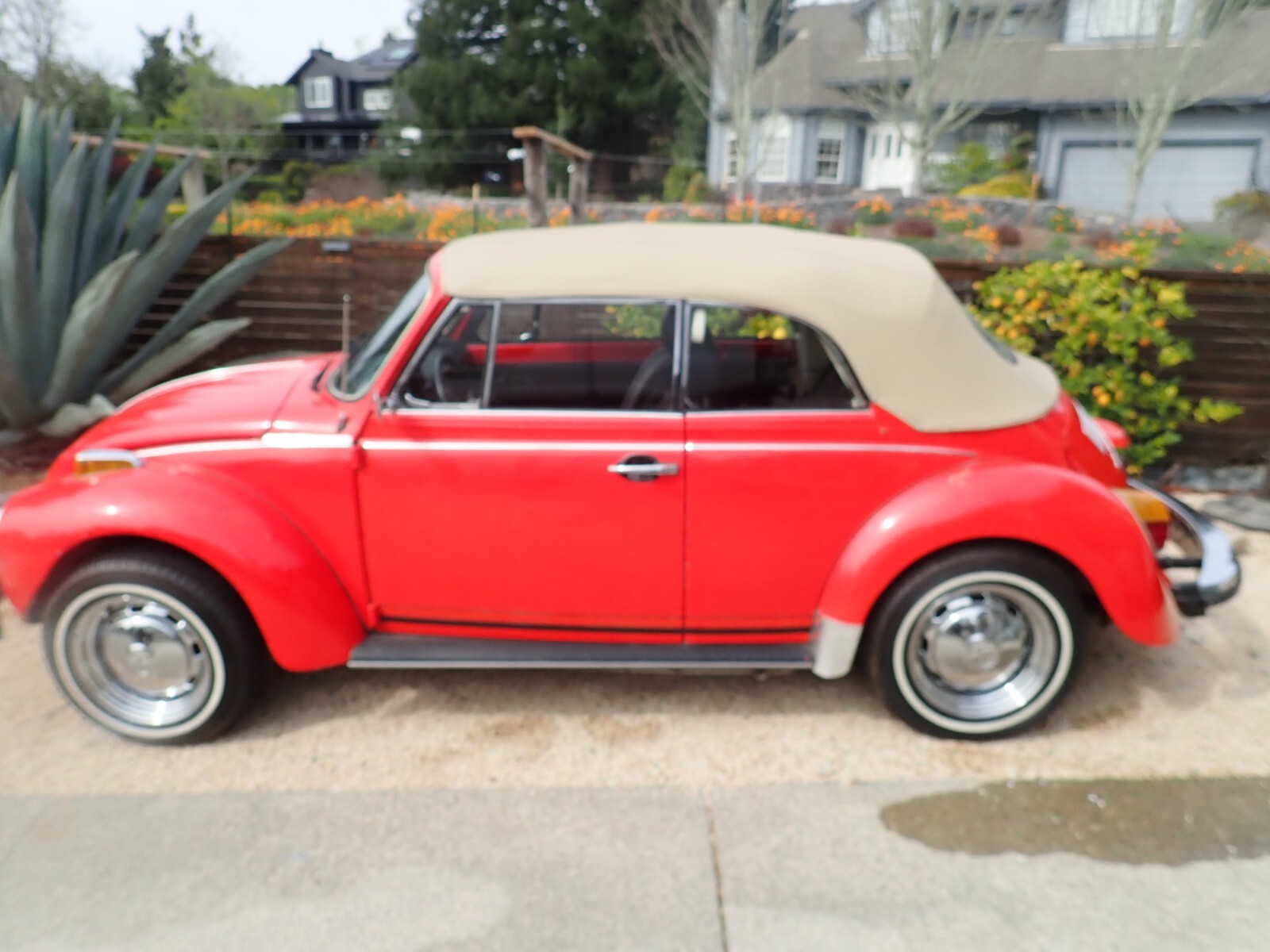 Volkswagen-Beetle-Classic-1978-Convertible-2