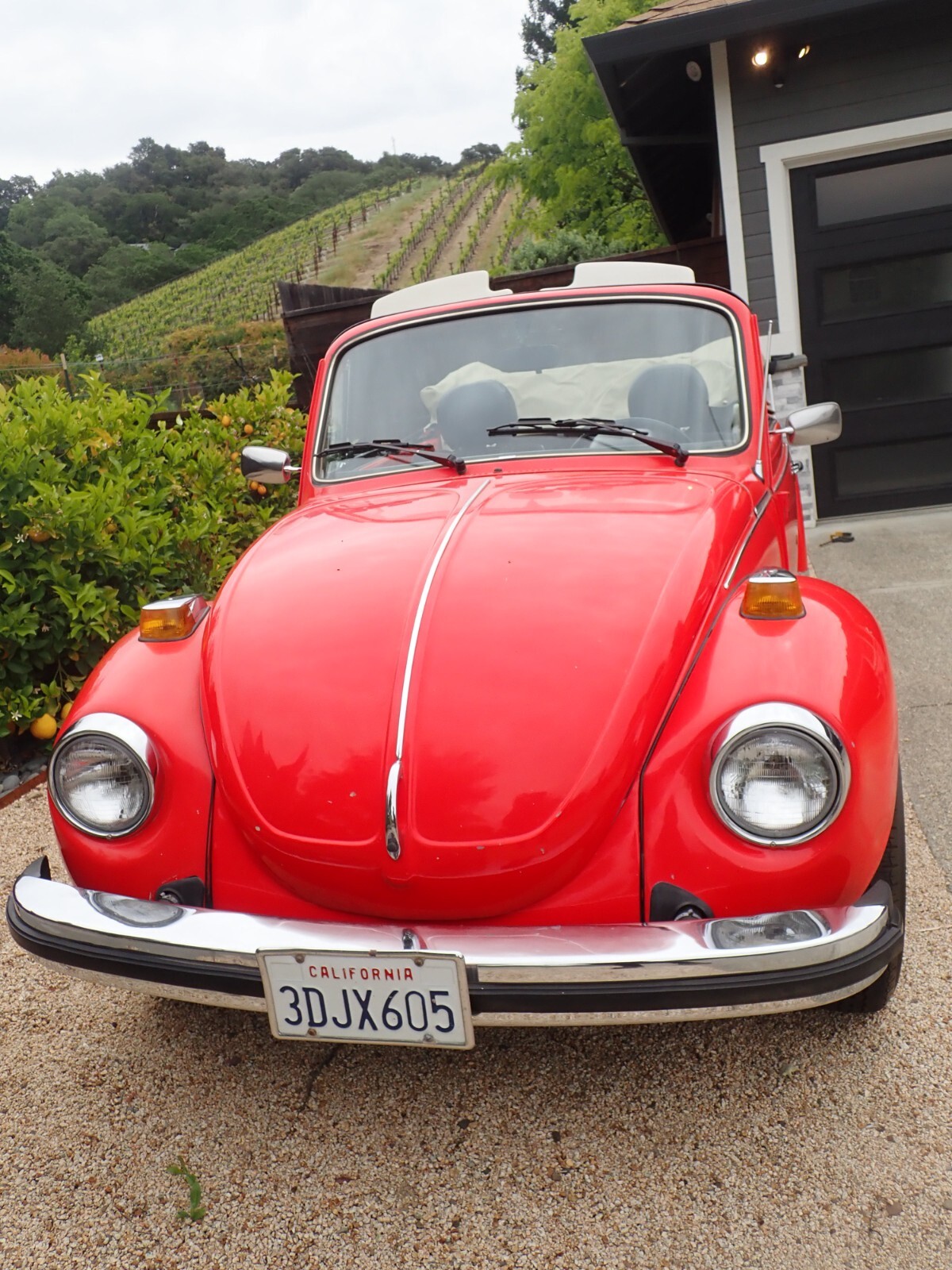 Volkswagen-Beetle-Classic-1978-Convertible-23