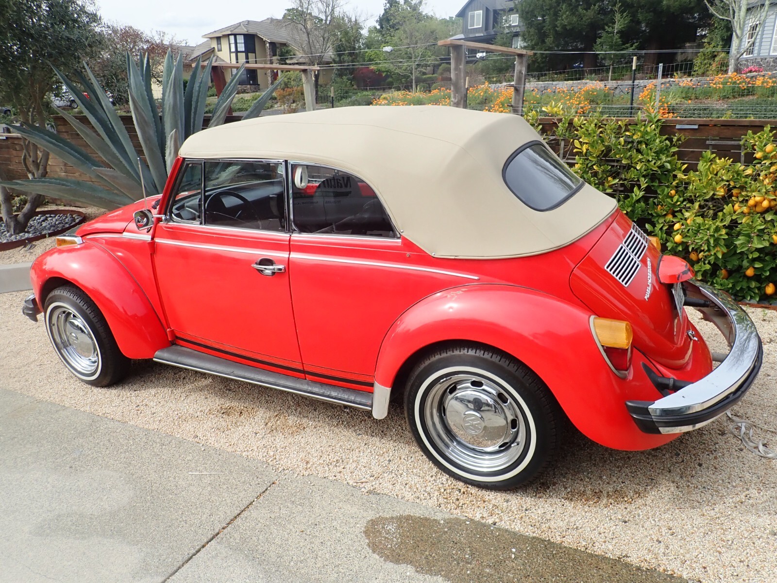 Volkswagen-Beetle-Classic-1978-Convertible-3