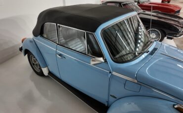 Volkswagen-Beetle-Classic-1979-Convertible-14