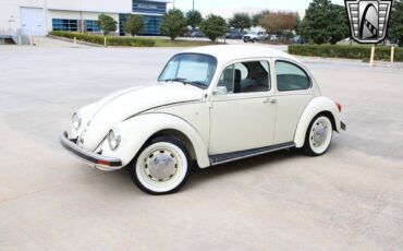 Volkswagen-Beetle-Classic-1994-coupe-32