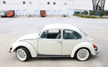 Volkswagen-Beetle-Classic-1994-coupe-33