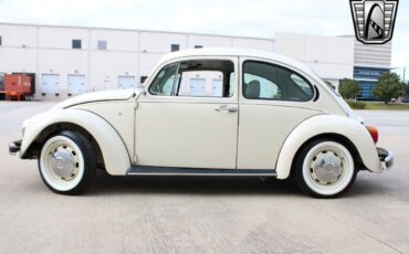 Volkswagen-Beetle-Classic-1994-coupe-34