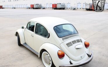 Volkswagen-Beetle-Classic-1994-coupe-35