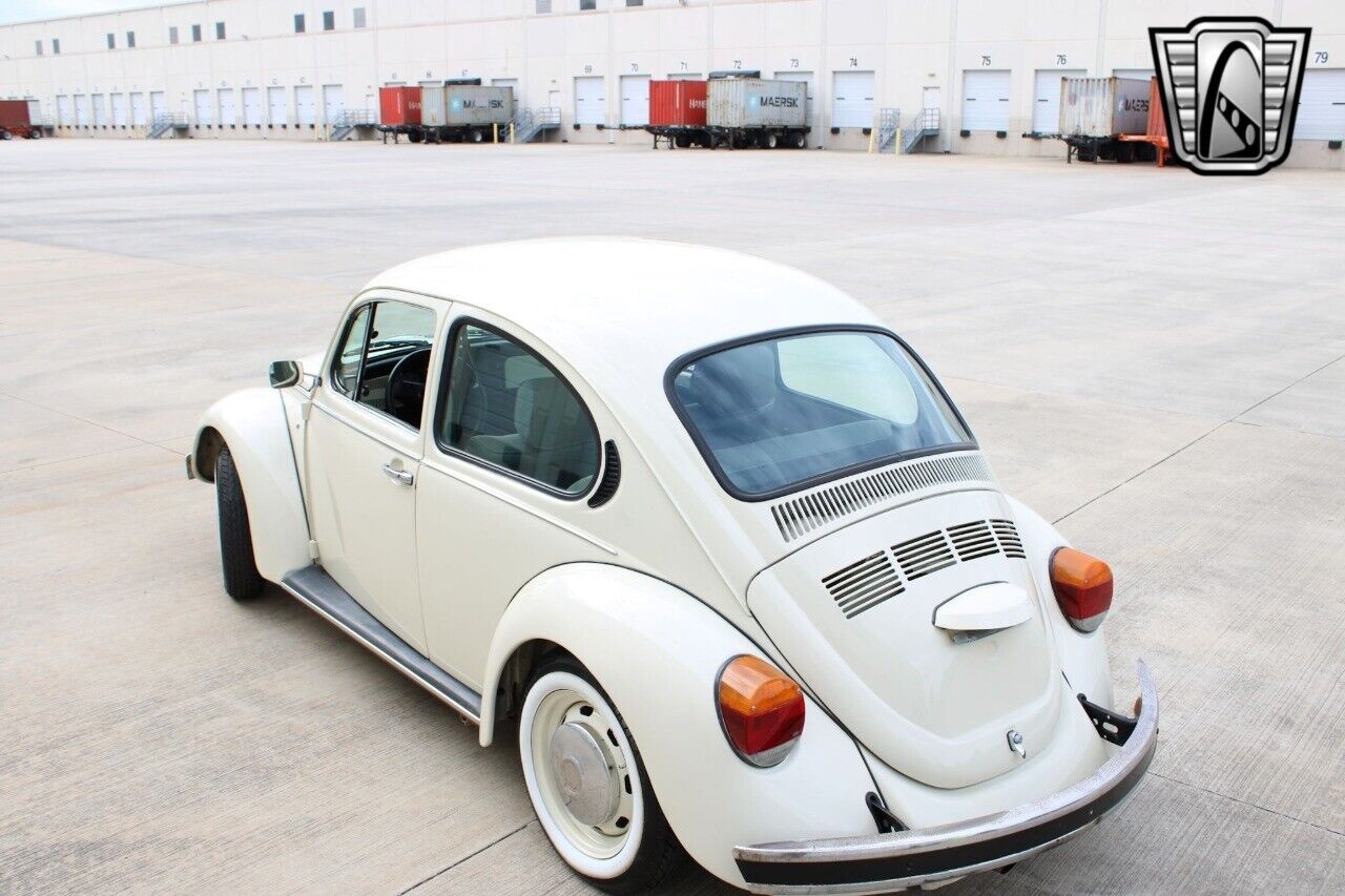 Volkswagen-Beetle-Classic-1994-coupe-35