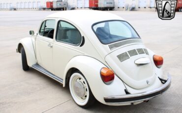 Volkswagen-Beetle-Classic-1994-coupe-36