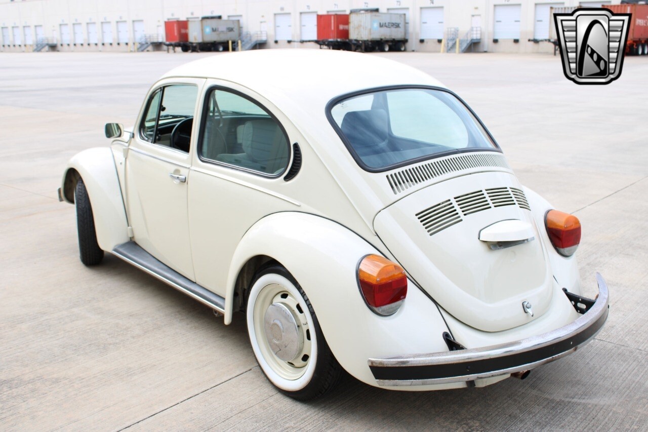 Volkswagen-Beetle-Classic-1994-coupe-36