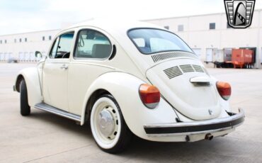 Volkswagen-Beetle-Classic-1994-coupe-37