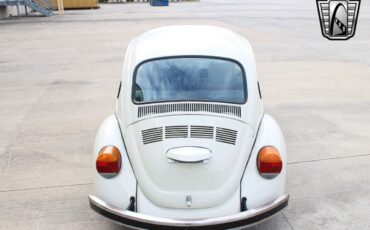 Volkswagen-Beetle-Classic-1994-coupe-38