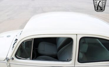 Volkswagen-Beetle-Classic-1994-coupe-6