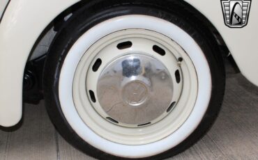 Volkswagen-Beetle-Classic-1994-coupe-7